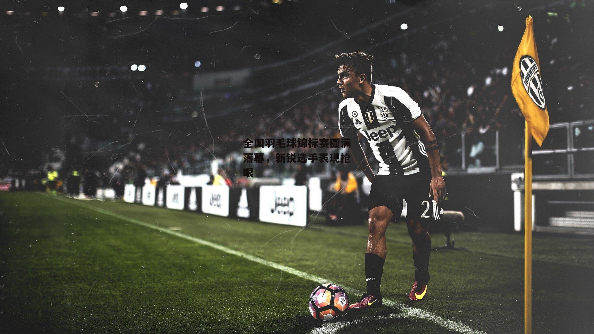 全国羽毛球锦标赛圆满落幕,新锐选手表现抢眼